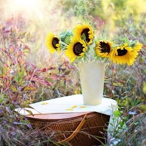 Meet your Posher, Sunflower'sTreasures